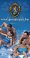 www.pestmegye.hu